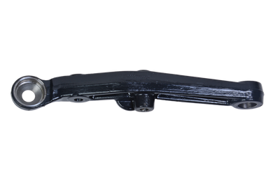 Braccio Osc.Sospens. Iveco Daily - 500350365