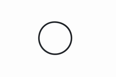 O-ring termostato Iveco Daily 2.3 - 17284181