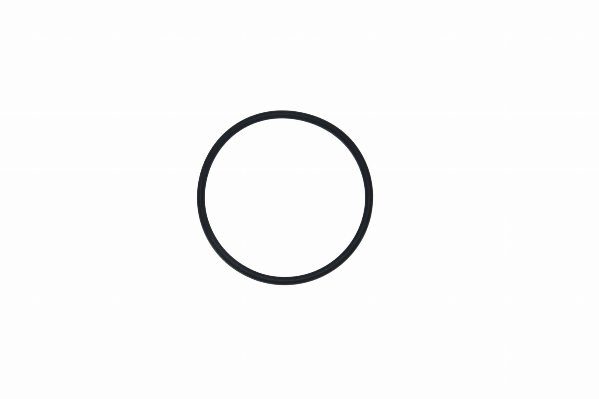O-ring termostato Iveco Daily 2.3 - 17284181