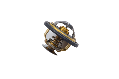 Termostato IVECO Daily - 500329622