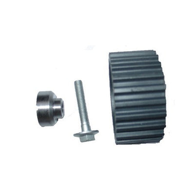 Puleggia Tendicinghia per Iveco Daily | OE 500388688