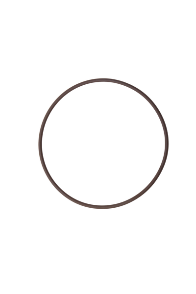 O-ring Pompa Acqua Iveco Daily 3.0 - 17285681