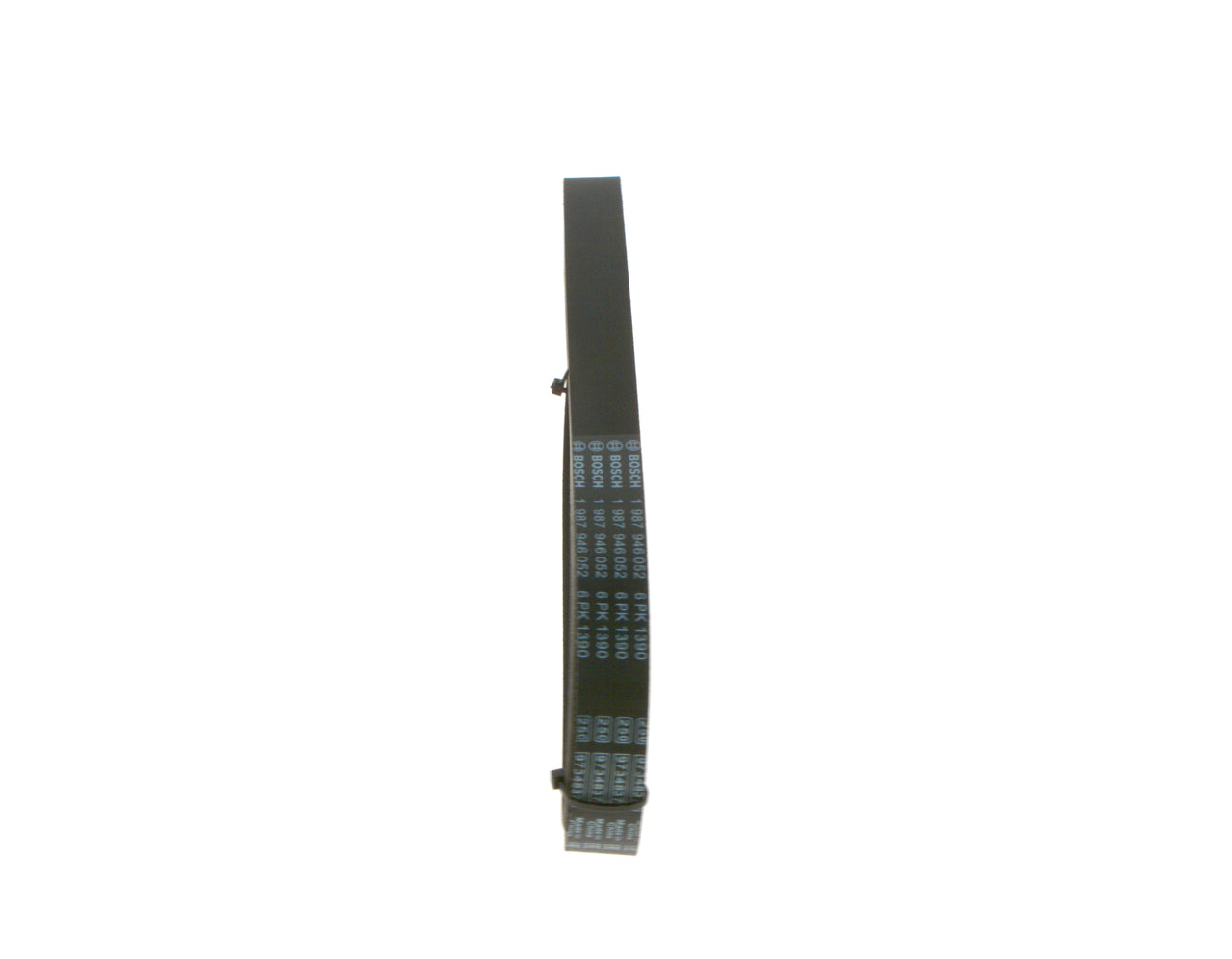 Cinghia Pompa Acqua Iveco Daily - 500377890