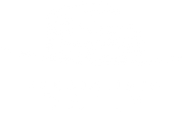 Specialista Daily