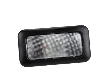 Plafoniera vano carico posteriore Iveco Daily - 500339036
