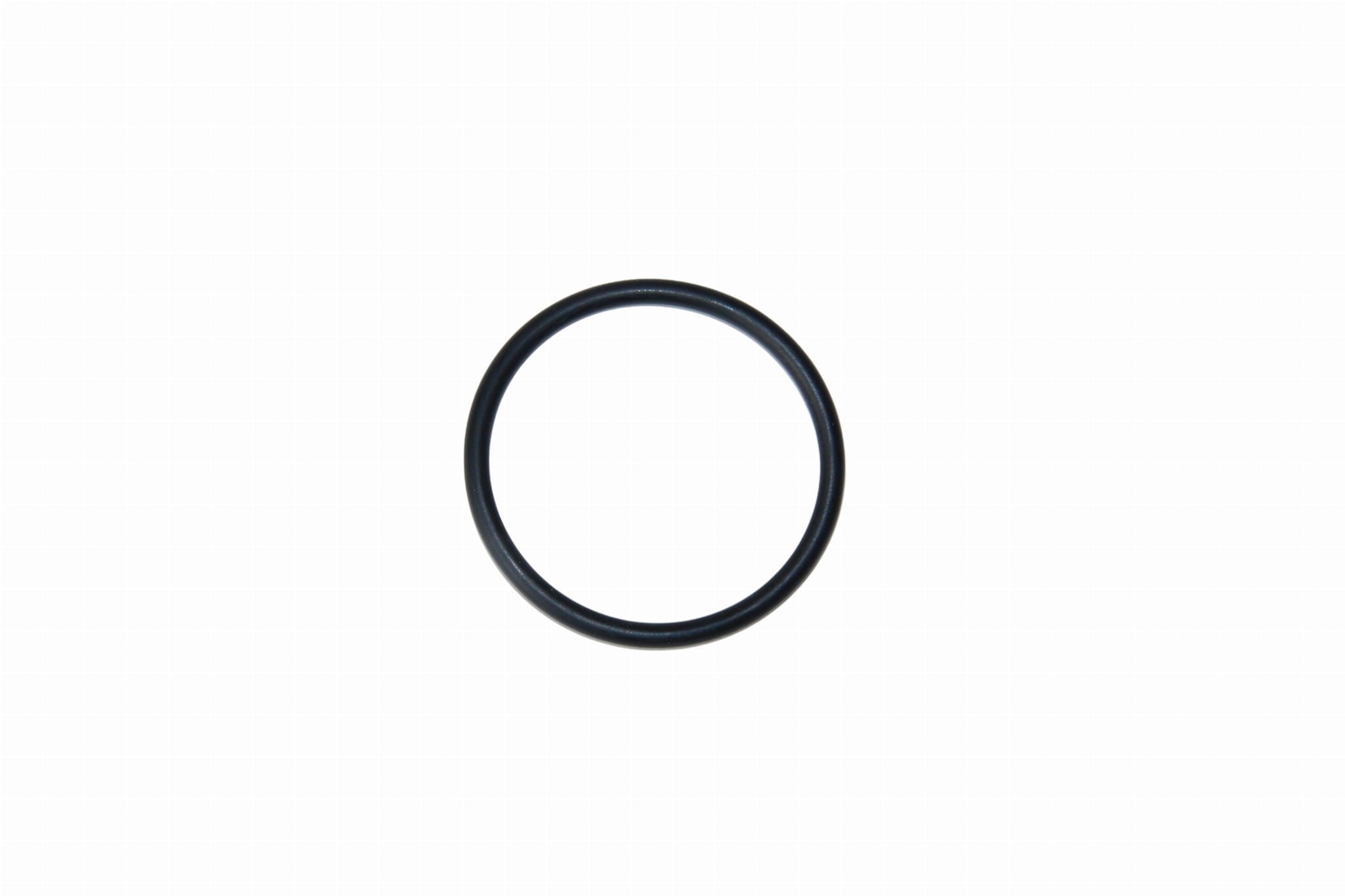 O-ring pompa acqua piccolo Iveco Daily 2.3 - 17289680