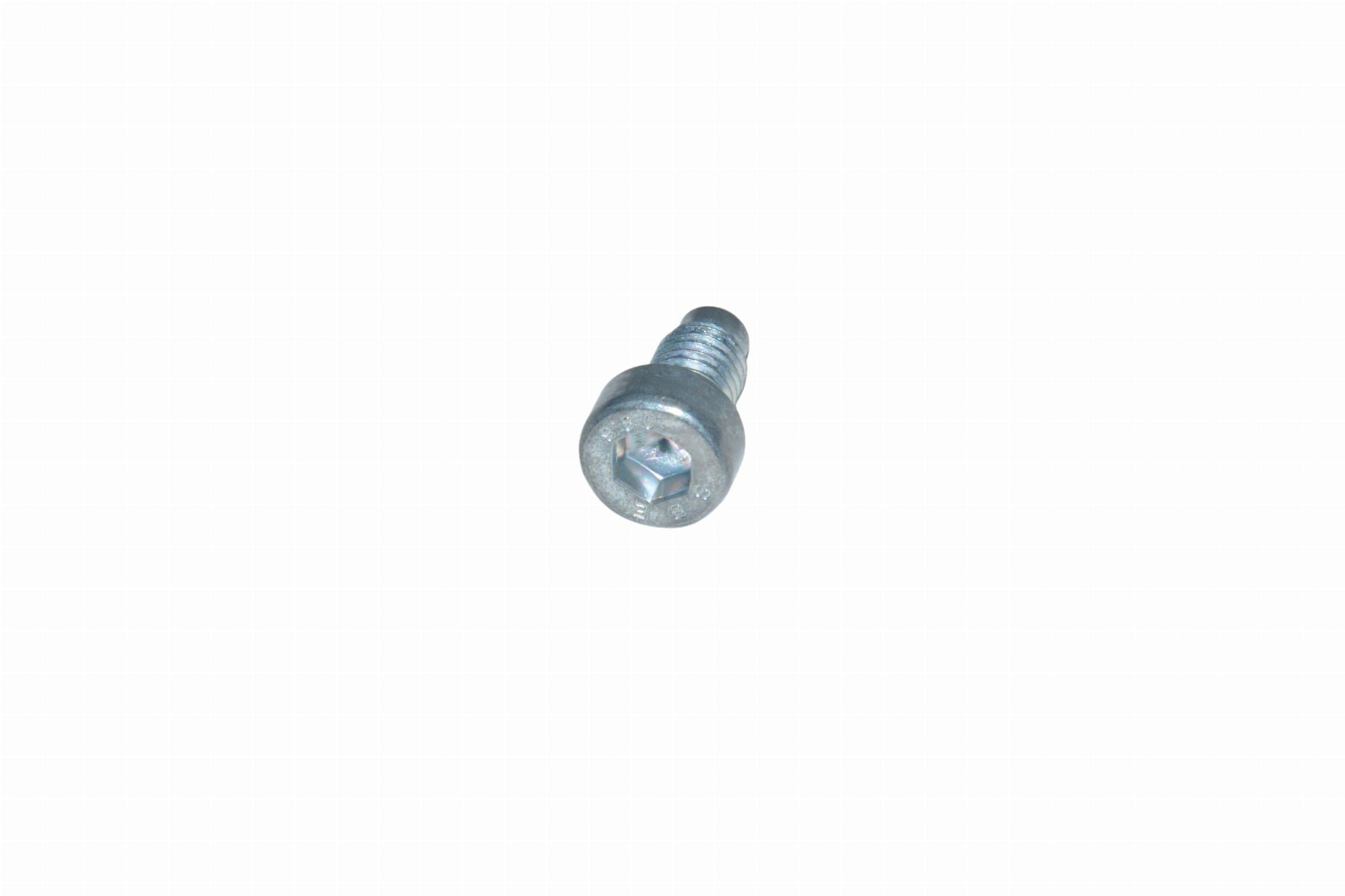 Vite cerniera porte posteriori Iveco Daily - 13221121