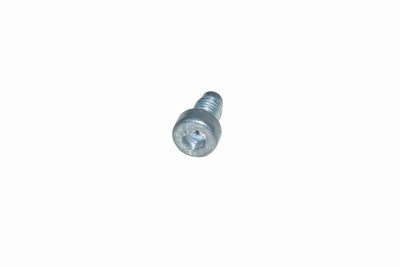 Vite cerniera porte posteriori Iveco Daily - 13221121