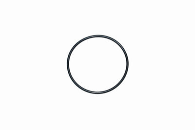 O-ring corpo farfallato Iveco Daily 2.3 E6 - 17284580
